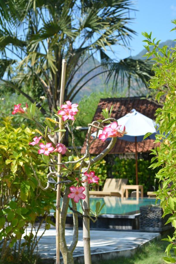 Sunia Loka Bungalows & Dive Center Pemuteran Exteriér fotografie