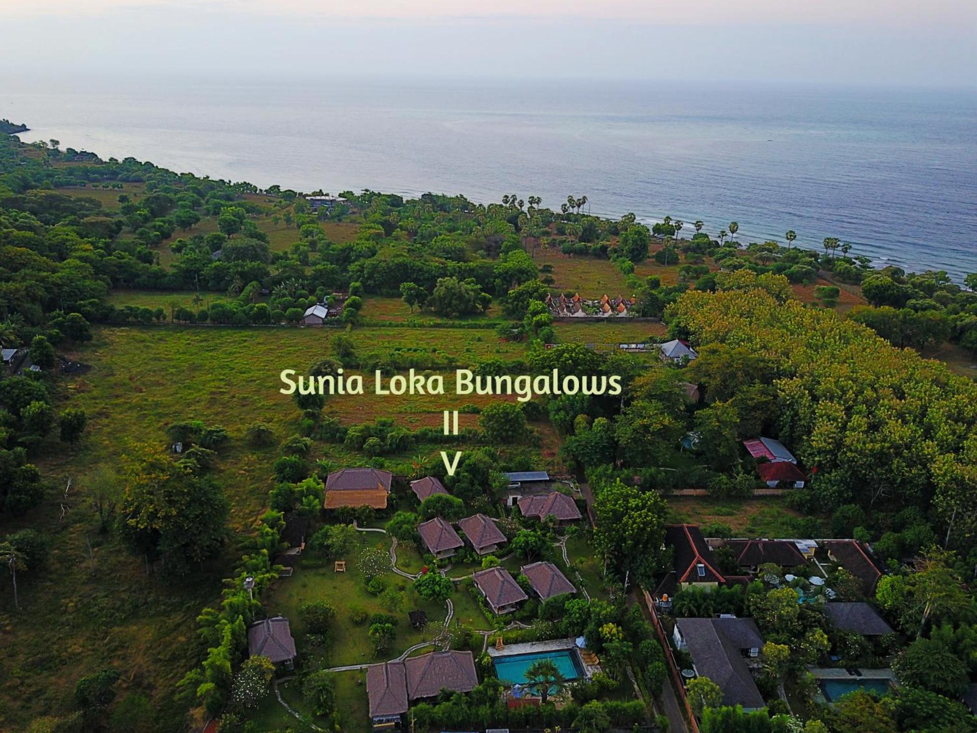 Sunia Loka Bungalows & Dive Center Pemuteran Exteriér fotografie